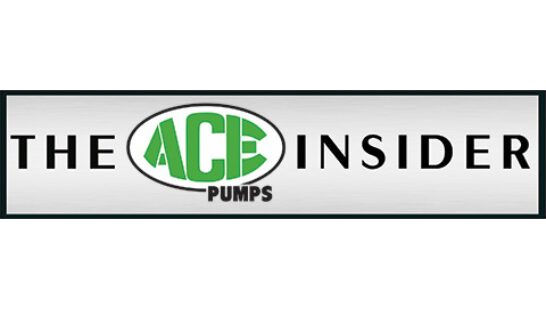 The Insider Vol 8 No 1